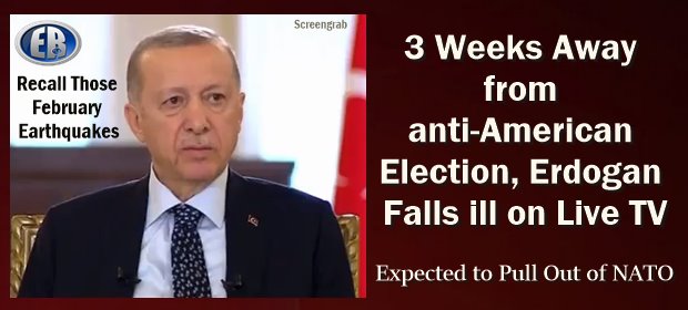 ErdoganCampaignIll-min
