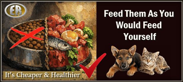 What’s Really in the Bag: The Pet Food Industry’s Dirty Secret