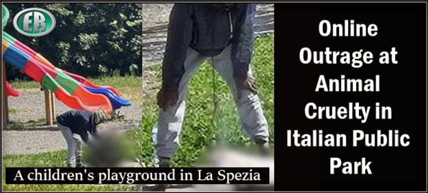 Italy: Nigerian man photographed killing cat and trying to cook it in front of children’s playground