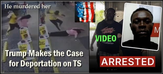 Trump shares shock video of migrant bludgeoning Florida woman to death (GRAPHIC)